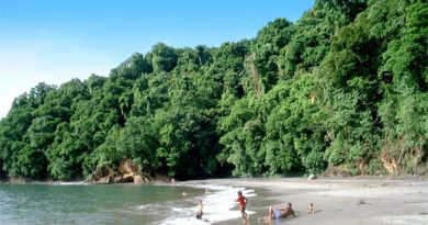 precheur Martinique